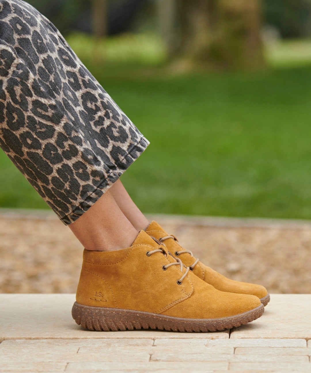 Zoom